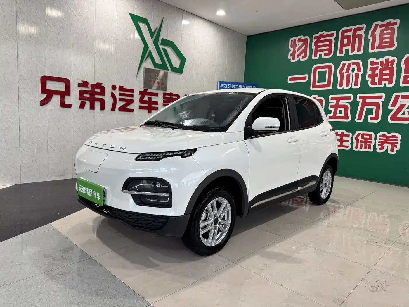 Dayun Yuehu 2022 300 Standard