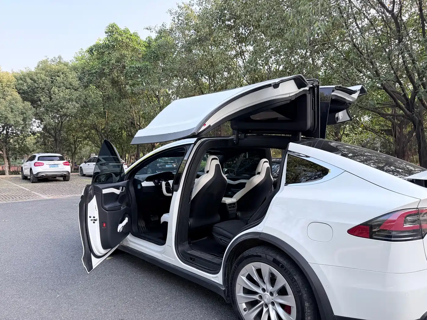 TESLA MODEL X