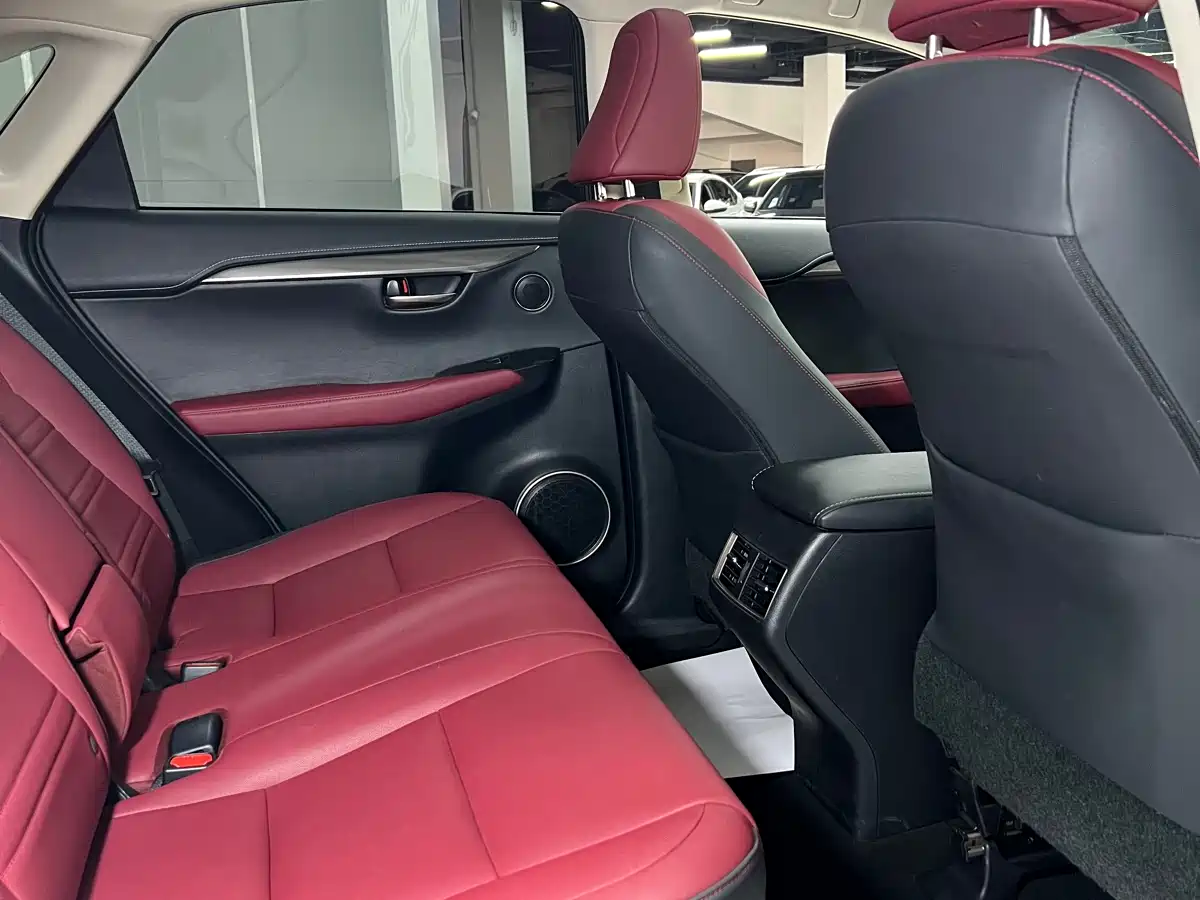 Lexus NX 2020 200 AWD F Sport China V фото 19