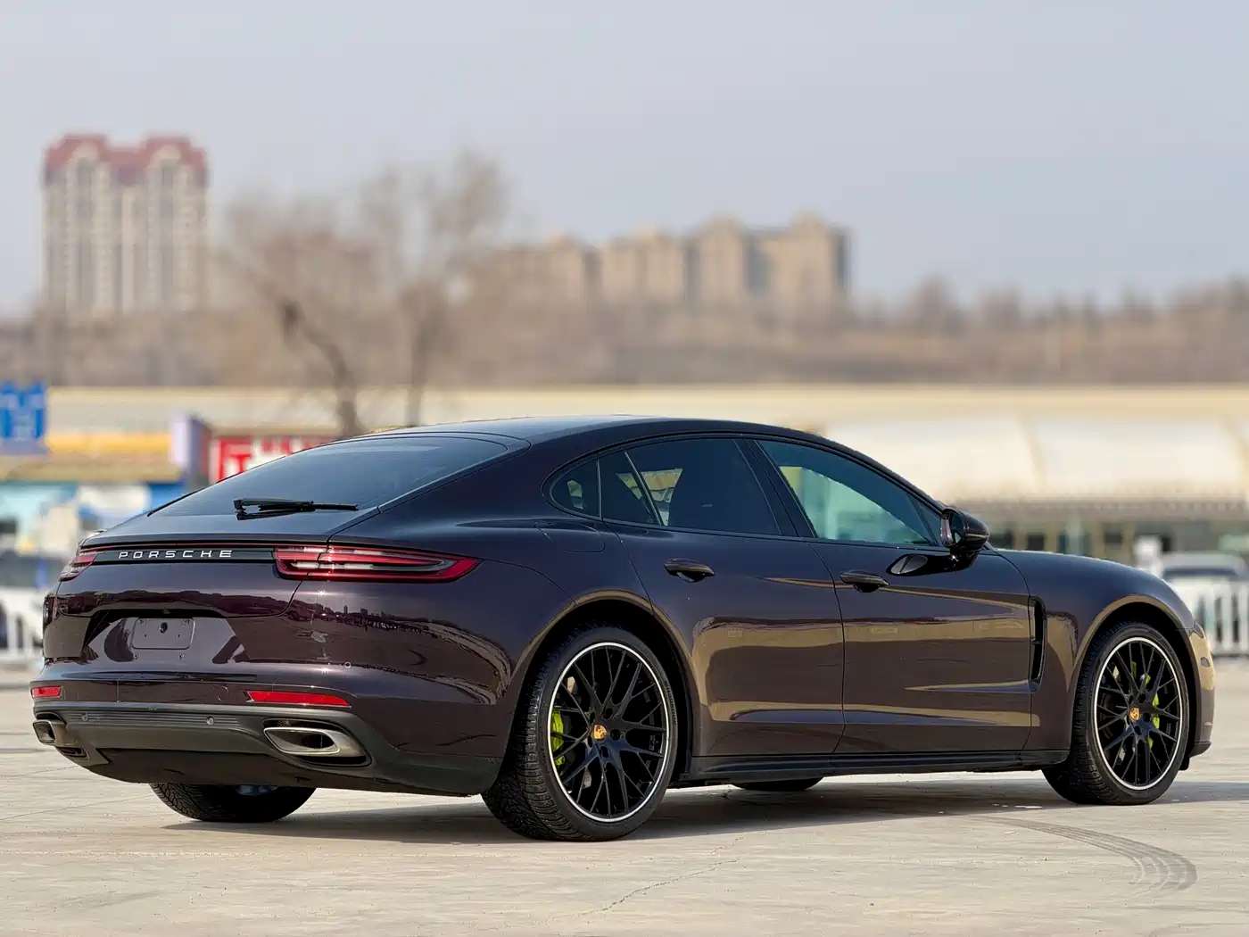 PORSCHE PANAMERA NEW ENERGY