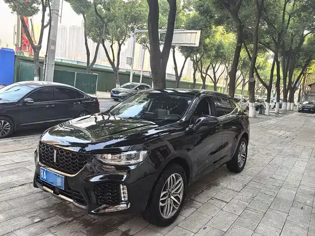 wei-pai wei-brand-vv5