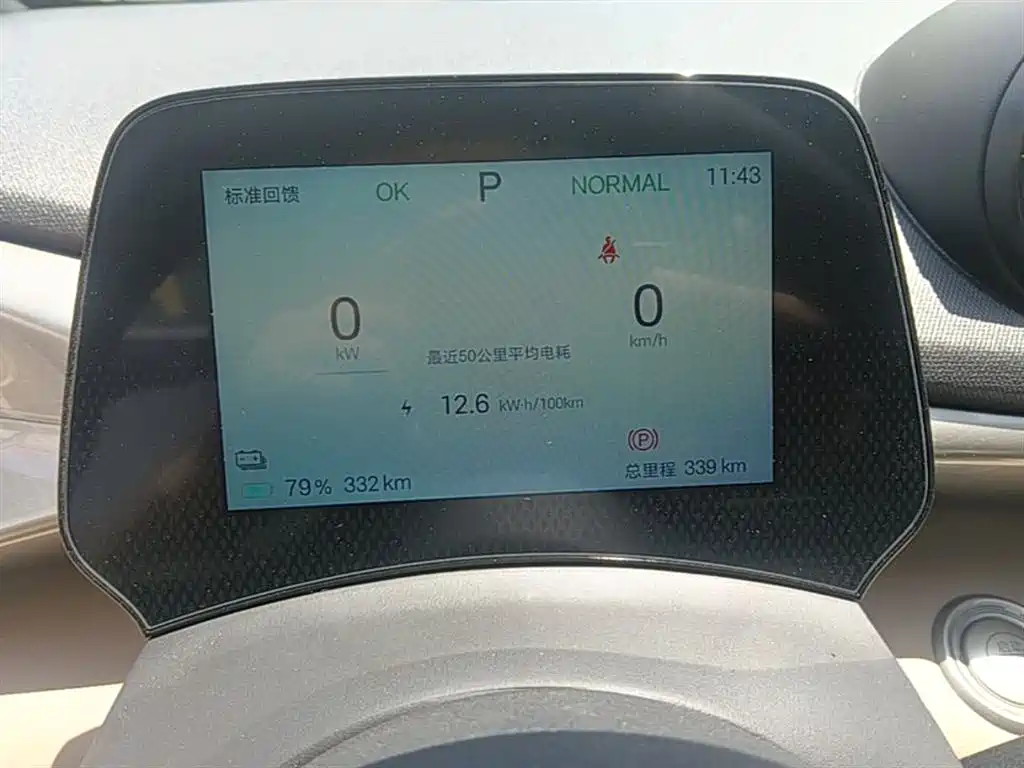 BYD Dolphin 2024 Glory Edition 420km Freedom Edition фото 12