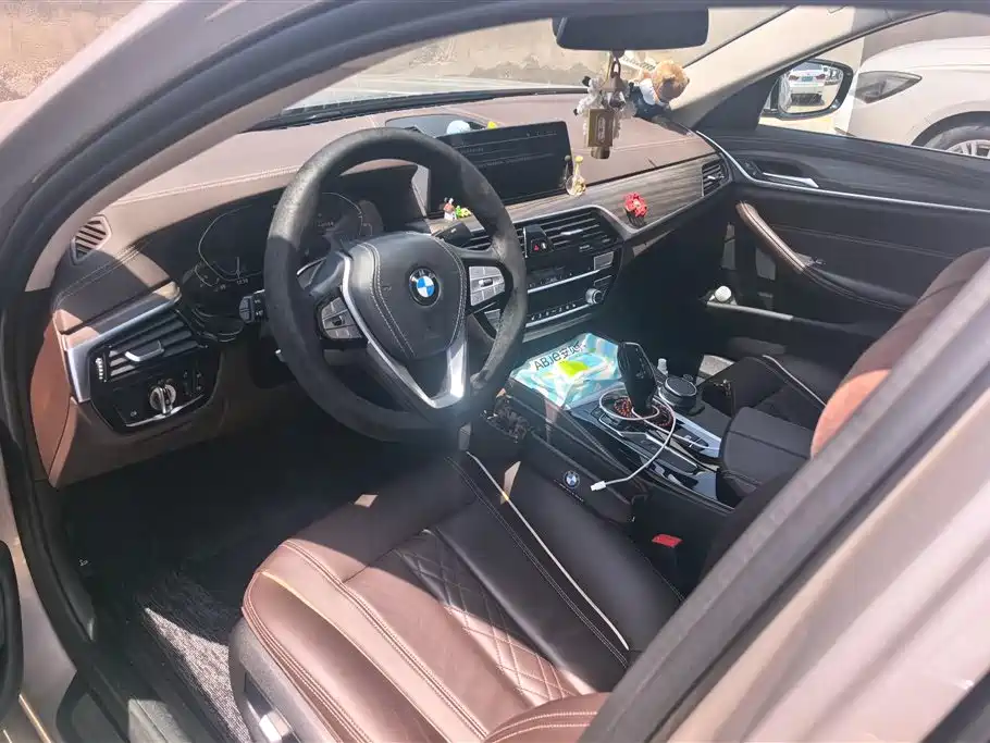 BMW 5 Series New Energy 2020 530Le Luxury Package фото 12