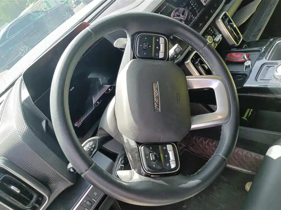 Haval Big Dog 2021 2.0T DCT 4WD Chinese Rural Dog Edition фото 15