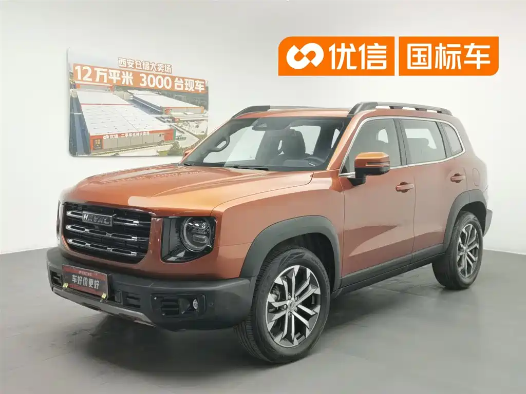 Haval Big Dog 2021 1.5T DCT 2WD Border Collie - Wangcai Edition