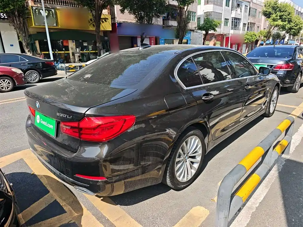 BMW 5 Series 2018 530Li Leading Luxury Package фото 5