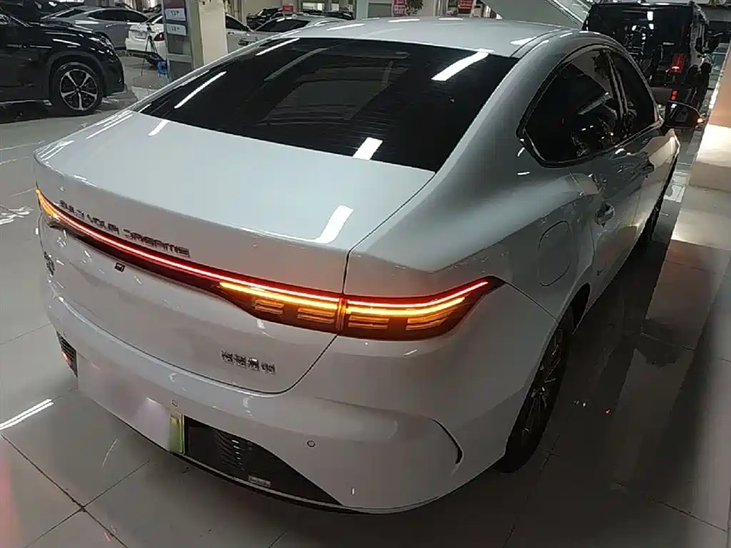 BYD Destroyer 05 2024 Glory Edition DM-i 55KM Luxury фото 7