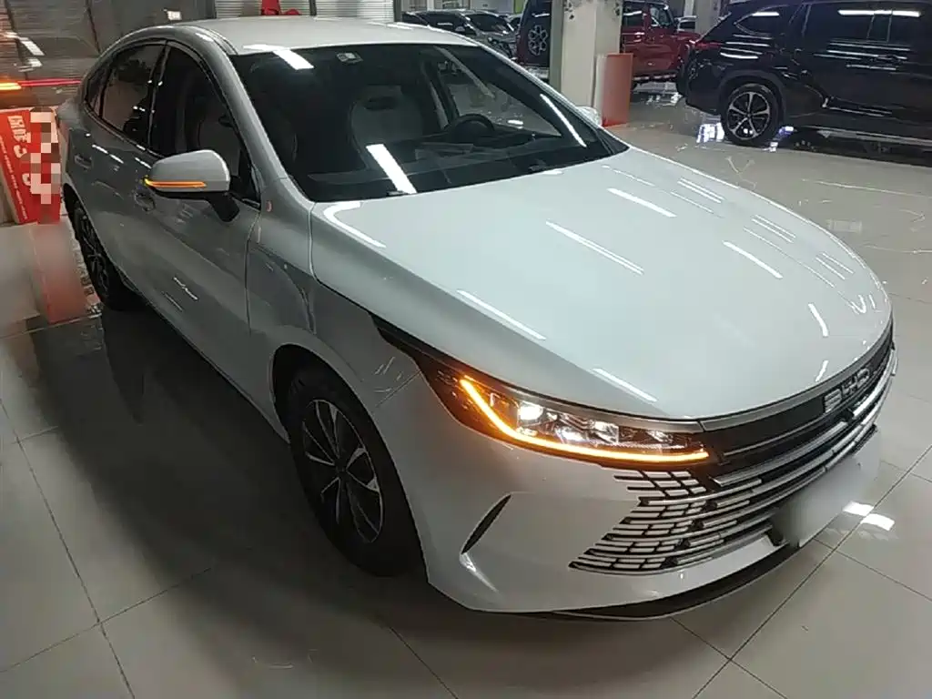 BYD Destroyer 05 2024 Glory Edition DM-i 55KM Luxury фото 4