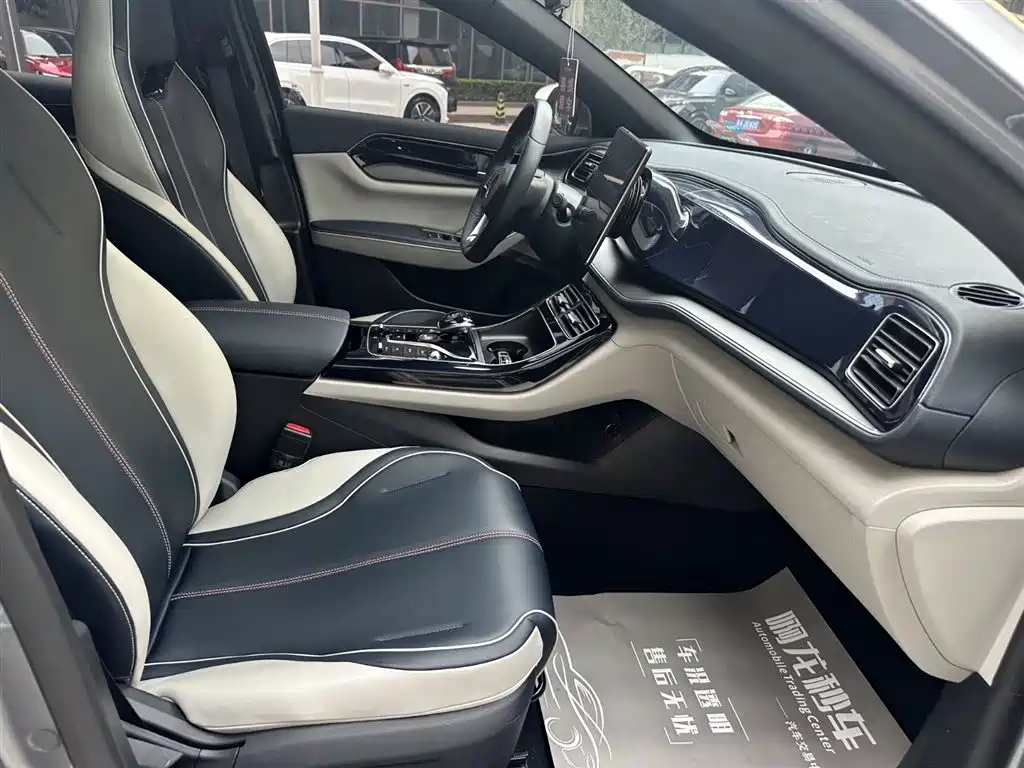 BYD Qin PLUS 2021 DM-i 55KM Flagship фото 7