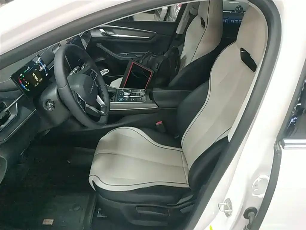 BYD Destroyer 05 2024 Glory Edition DM-i 55KM Luxury фото 15
