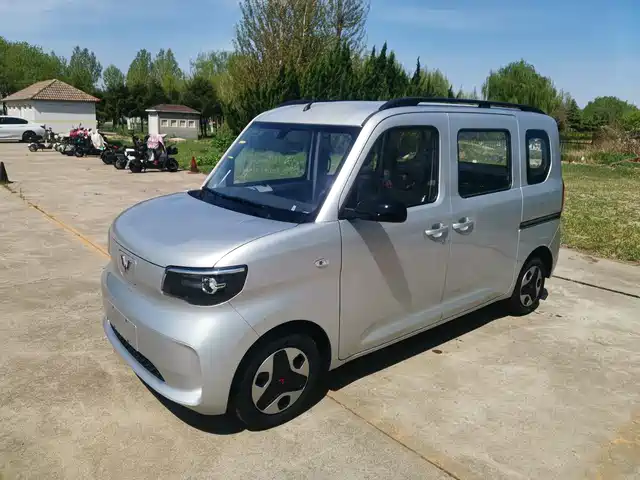  Wuling Motors Wuling Zhiguang NEV 2025 Model Comfort