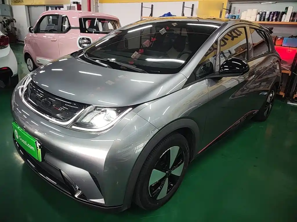 BYD Dolphin 2023 420km Freedom Edition