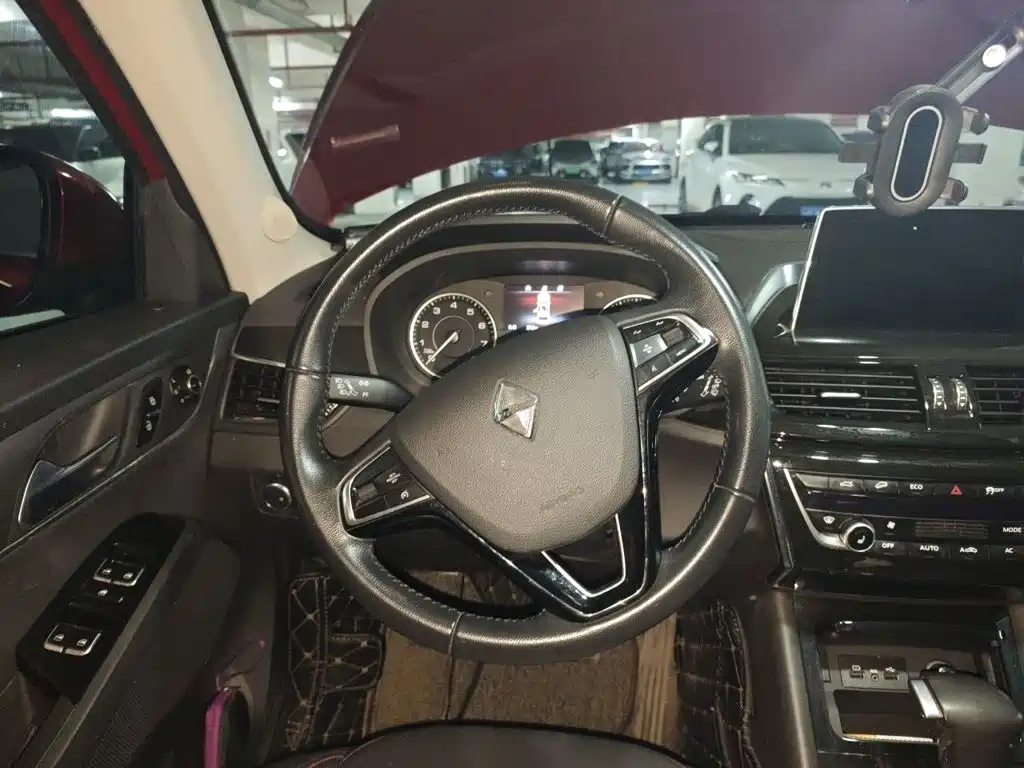 Borgward BX5 2017 2017 25TGDI Automatic 4WD Premium Edition