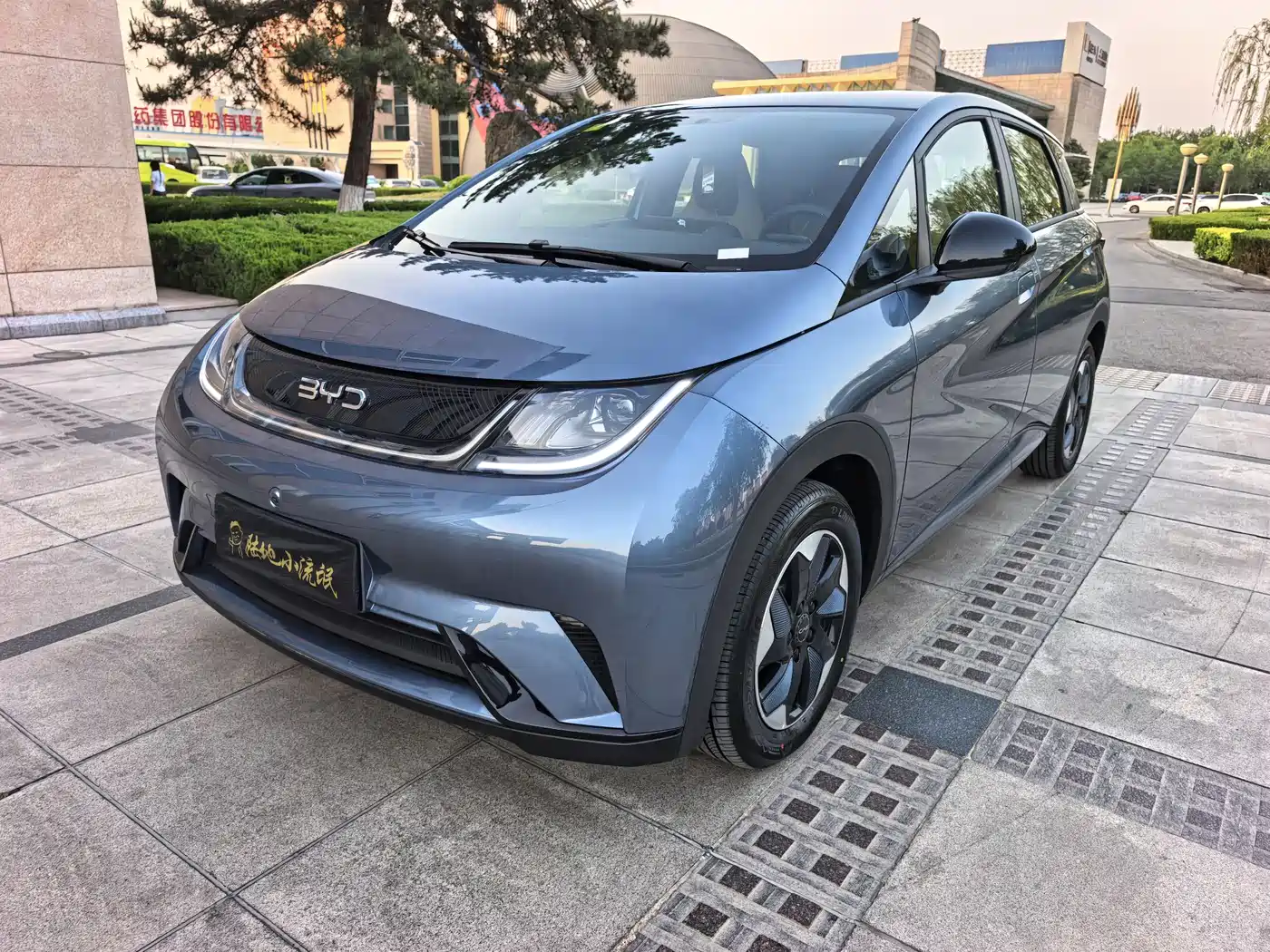 BYD Dolphin 2025 420km Freedom Edition фото 3