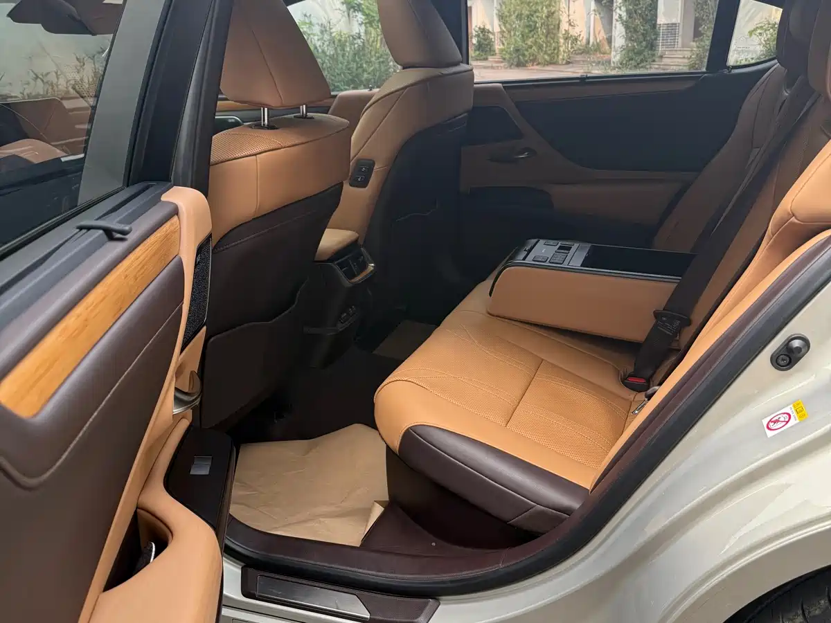 Lexus ES 2018 300h Executive Edition China V фото 5
