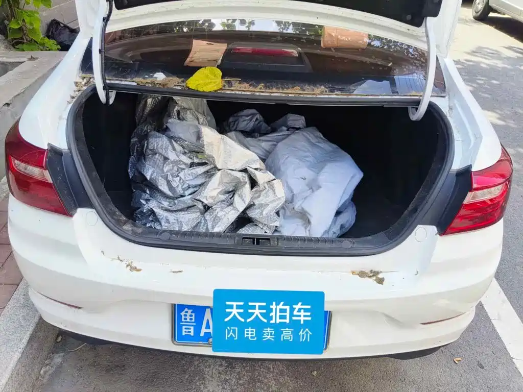 Geely Vision 2021 2020 1.5L Manual Asian Games Edition