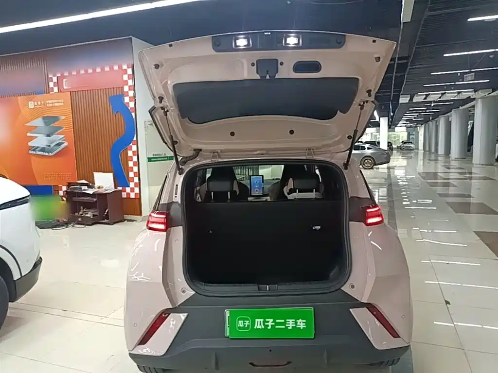 BYD Seagull 2023 Freedom Edition фото 19