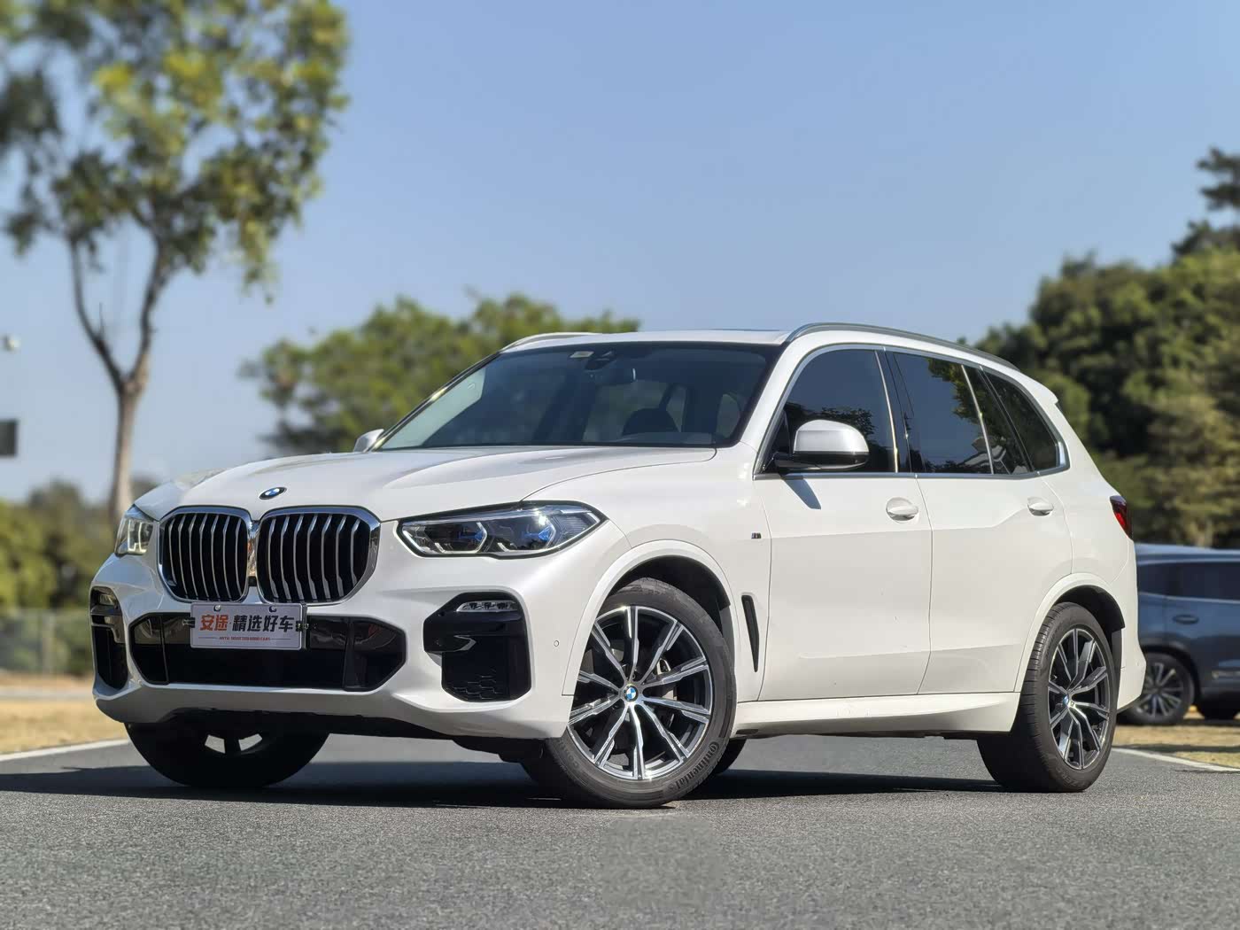 BMW X5 (Import)