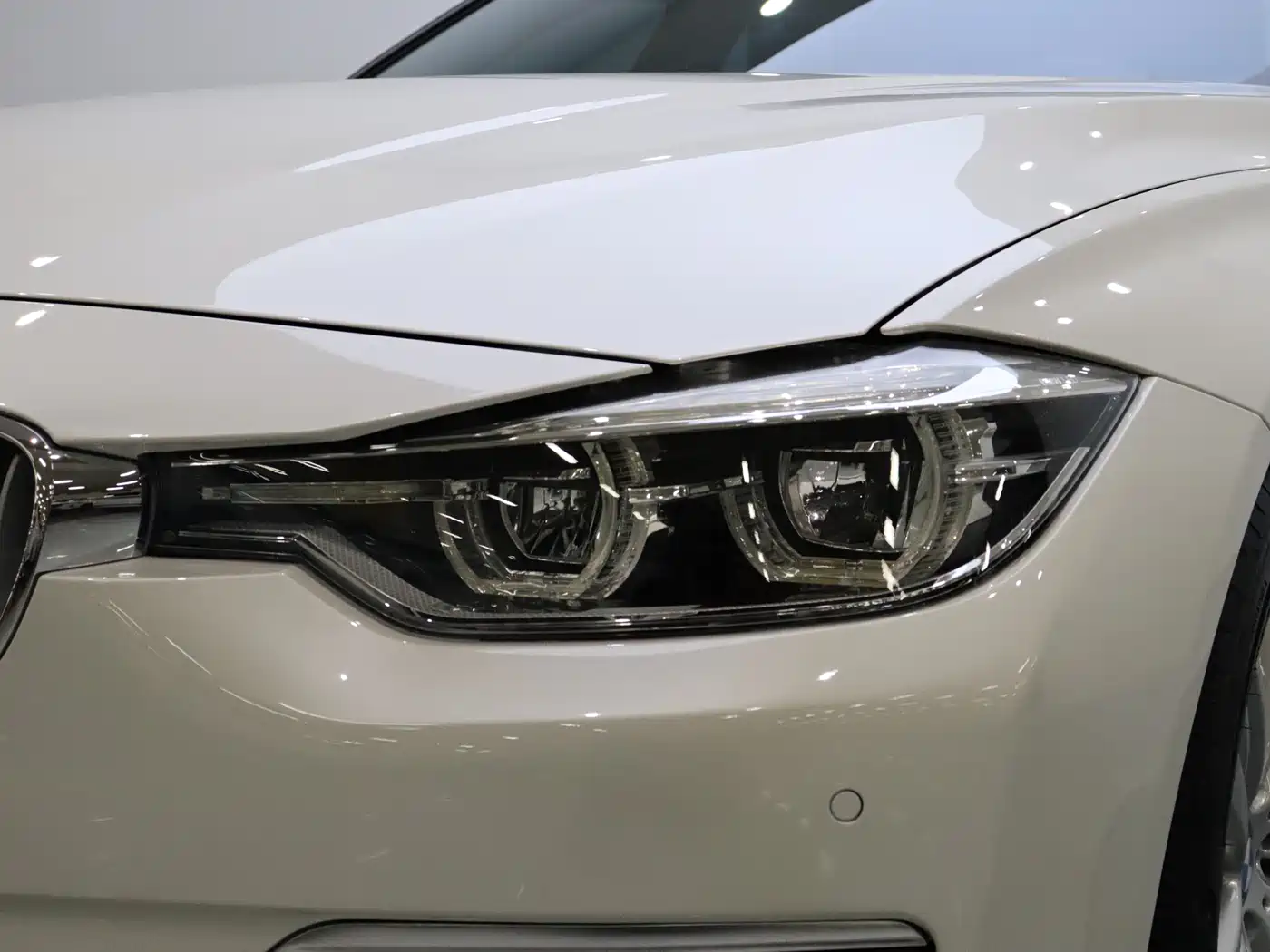 BMW 3 Series 2018 318Li фото 12