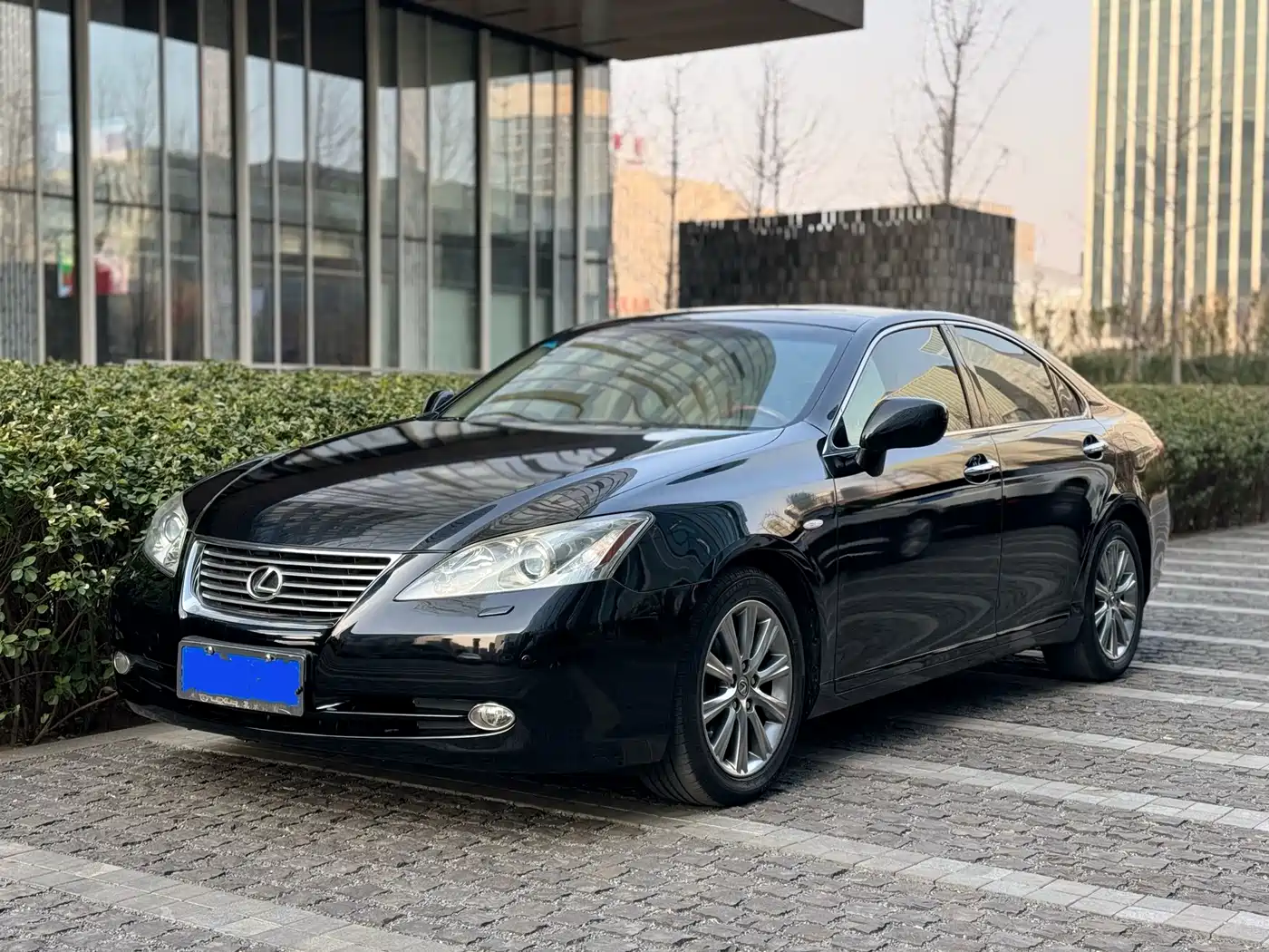 Lexus ES 2010 350 Luxury Edition