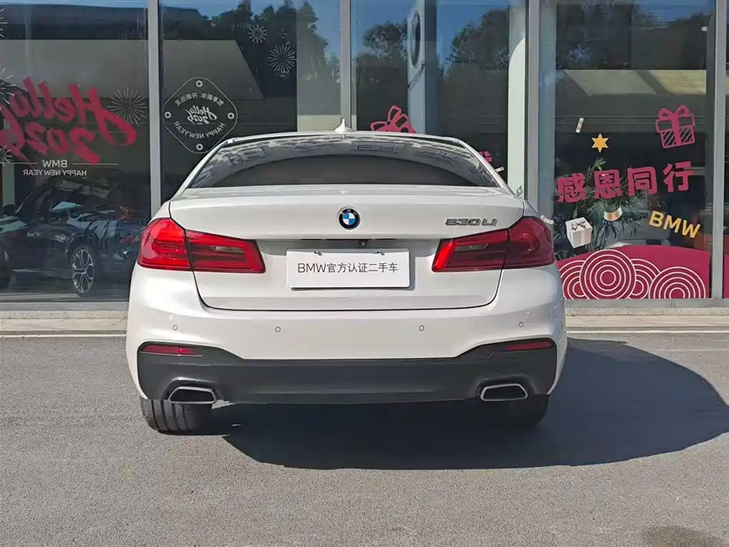 BMW 5 Series 2018 Facelift 530Li Exclusive M Sport Package фото 6