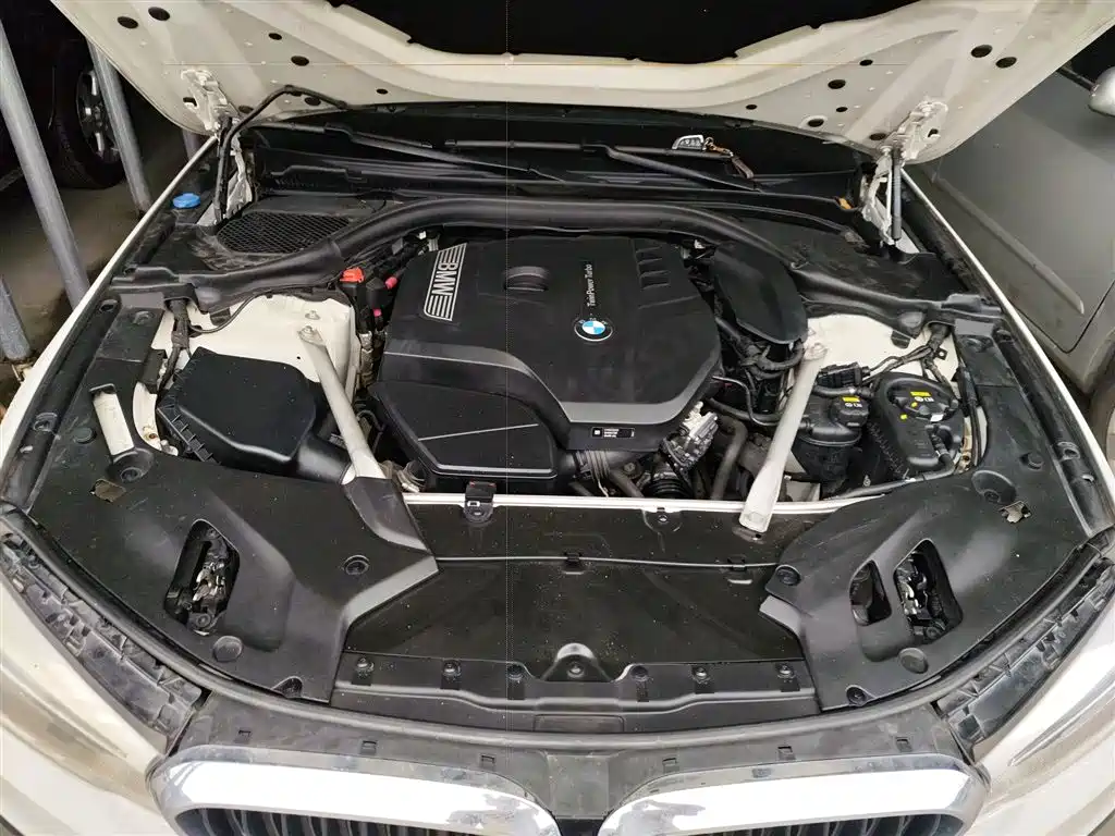 BMW 5 Series (Import) 2019 530i M Sport Package фото 20