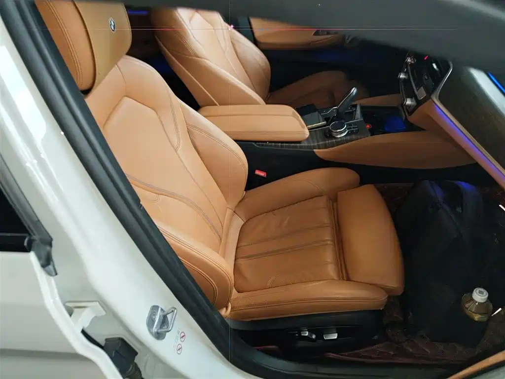 BMW 5 Series (Import) 2019 530i M Sport Package фото 25