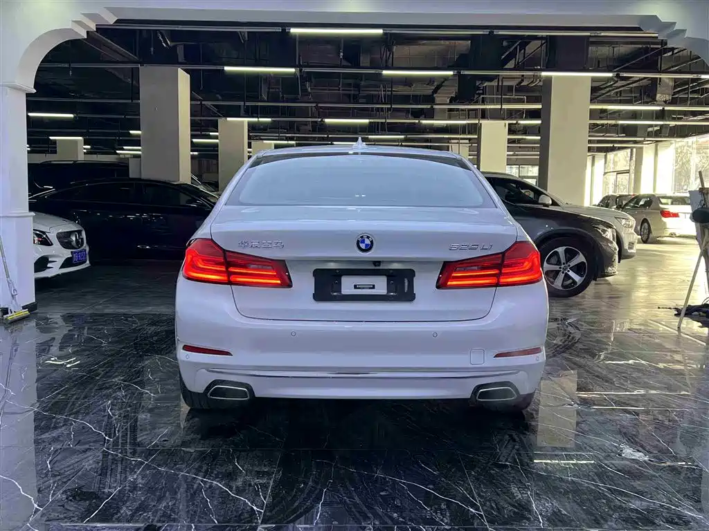 BMW 5 Series 2019 525Li Luxury Package фото 19