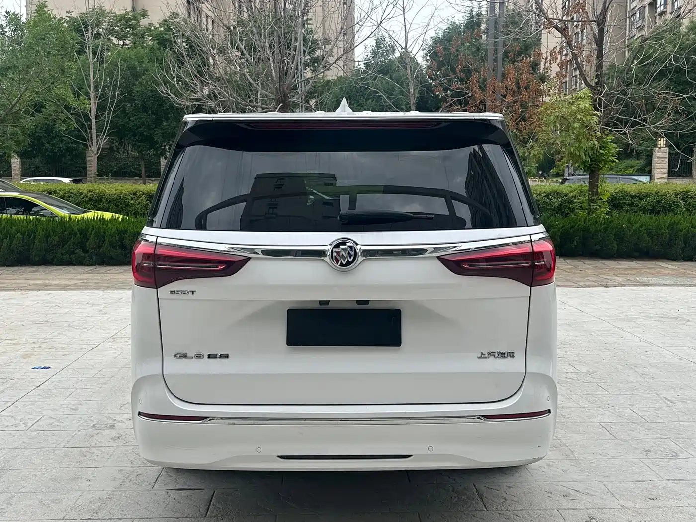 Buick GL8 2022 ES Landmark 653T Luxury фото 7