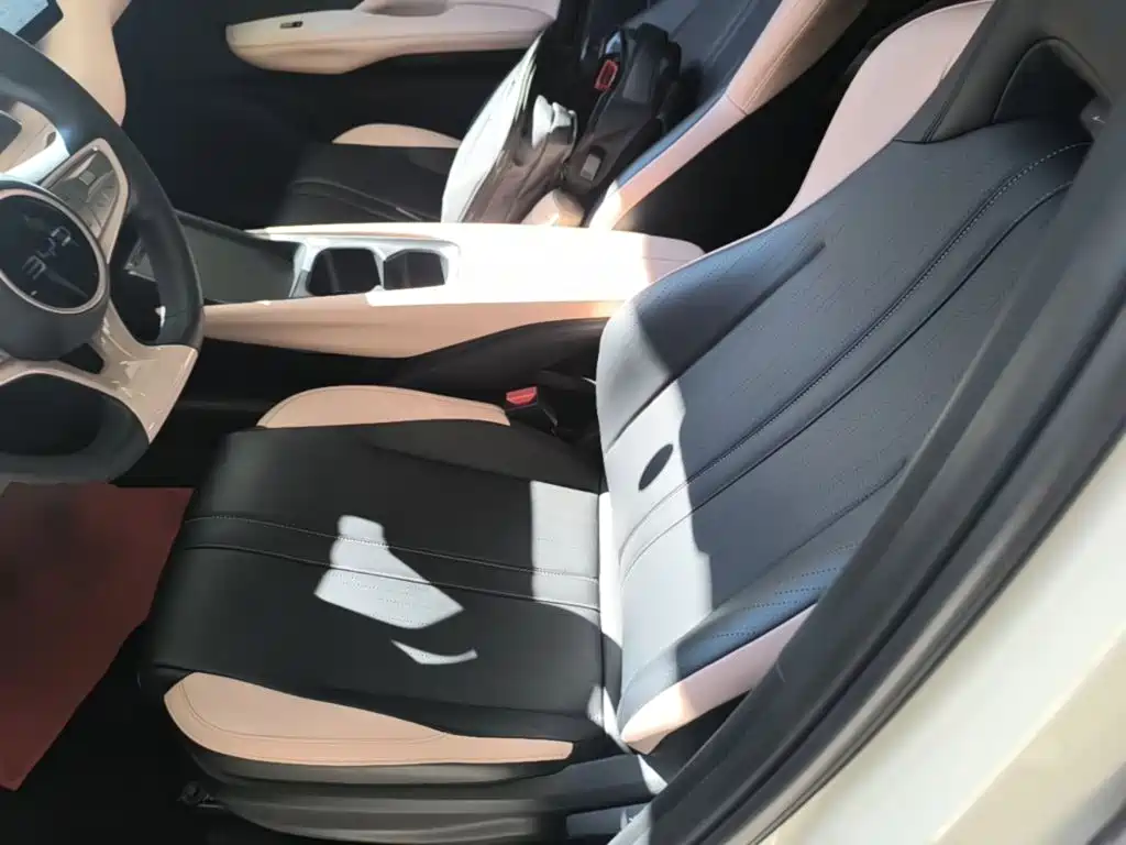 BYD Seagull 2026 2025 Smart Drive Edition 305km Vitality Version