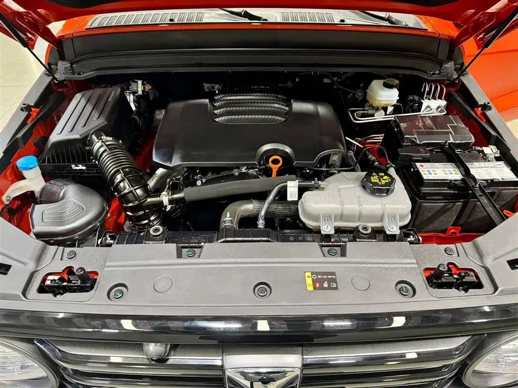 Tank 300 2024 Model 2.0T Challenger фото 10