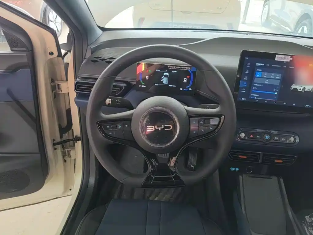 BYD Seagull 2026 2025 Smart Drive Edition 305km Vitality Version