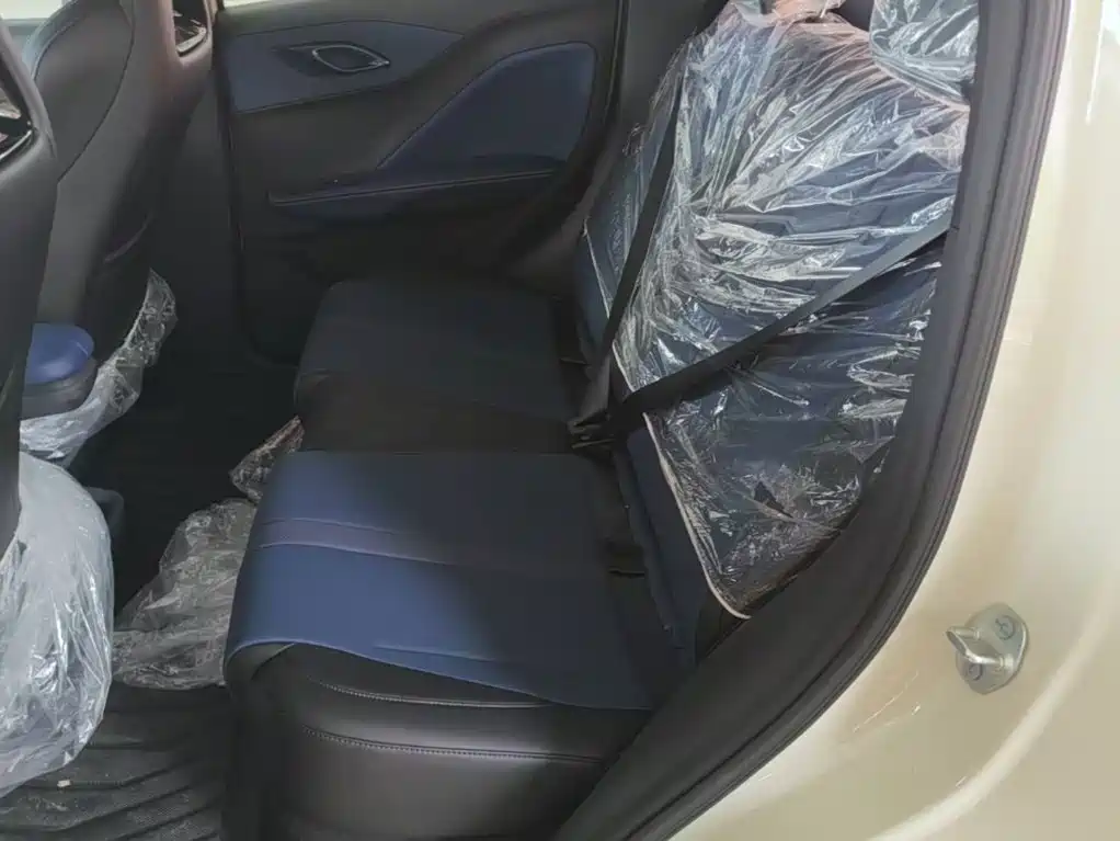 BYD Seagull 2026 2025 Smart Drive Edition 305km Vitality Version