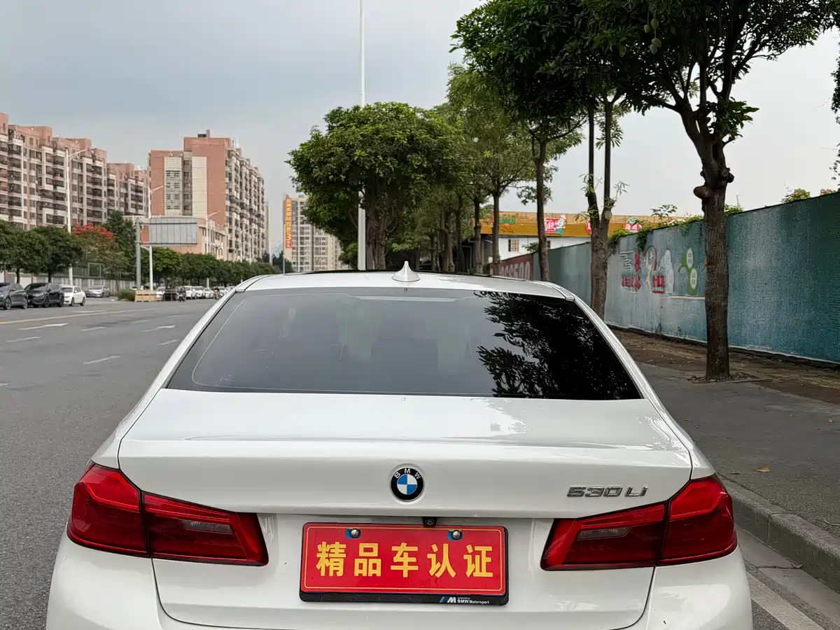 BMW 5 Series 2019 530Li Leading M Sport Package фото 5