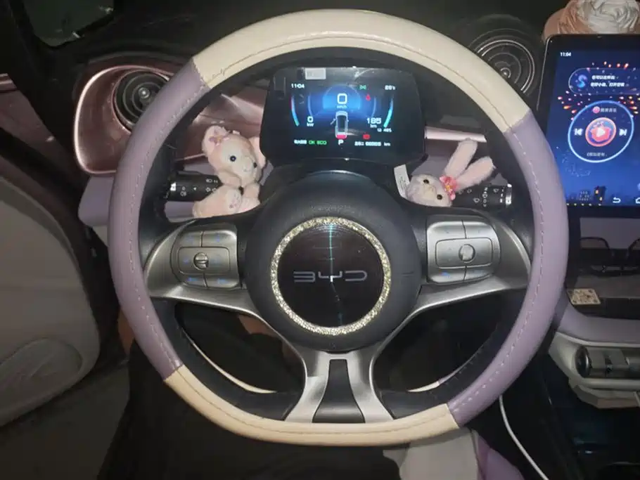 BYD Dolphin 2021 Model 405km Fashion Edition фото 15