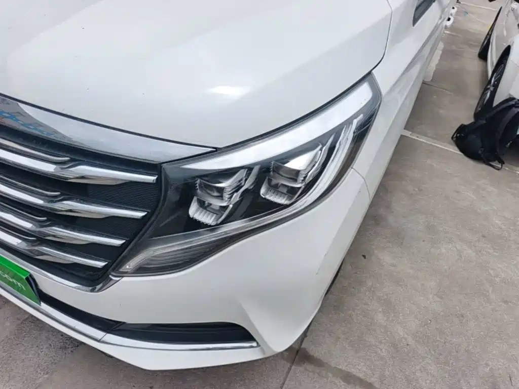 Фото 24 - GAC Trumpchi Trumpchi M8