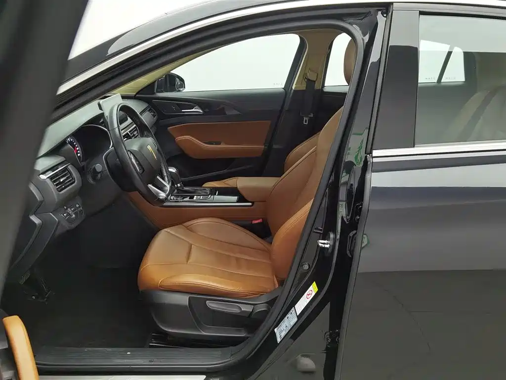 Hongqi H5 2019 30TD Style Edition фото 10