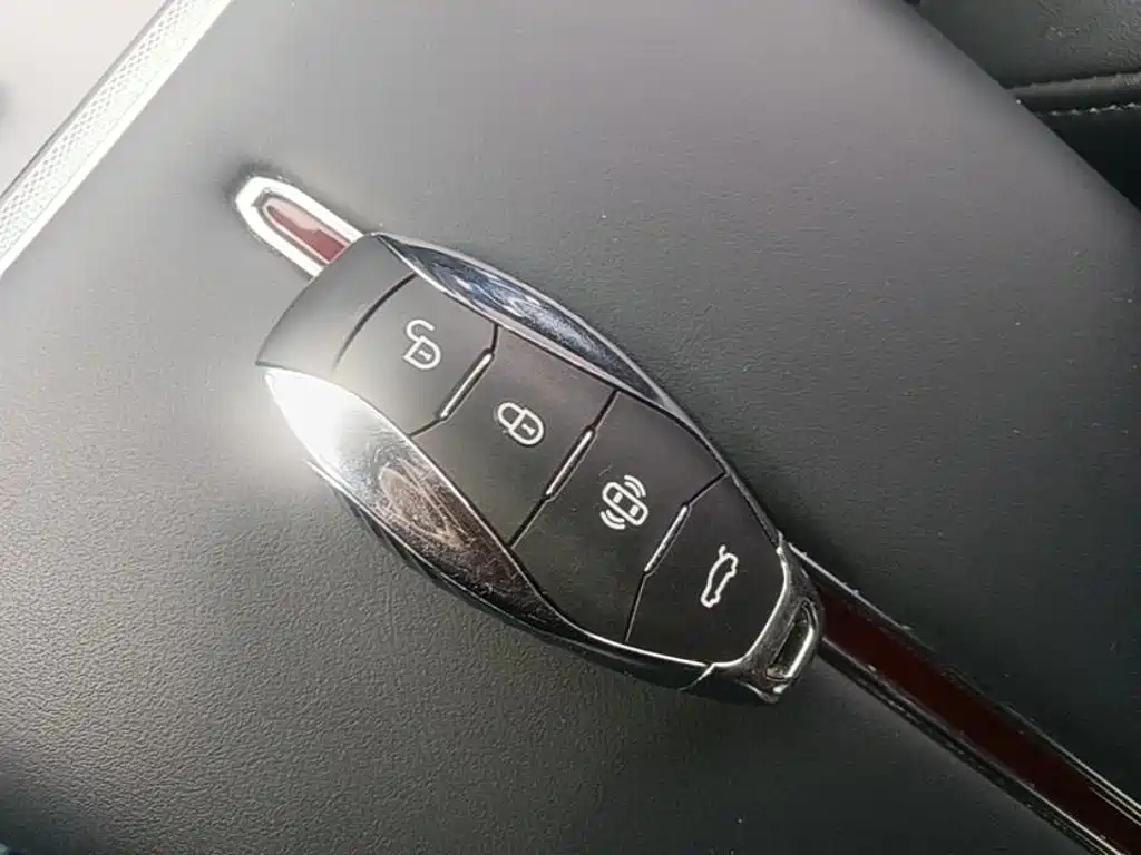 Photo 9 - Hongqi HS7 PHEV