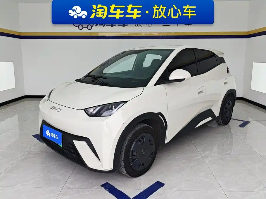 BYD Seagull 2024