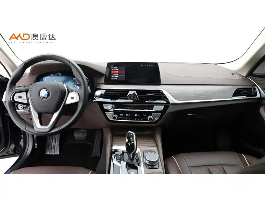 BMW 5 Series 2020 530Li xDrive Luxury Package фото 5
