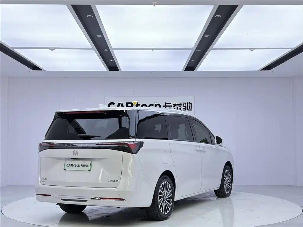 BUICK GL8 NEW ENERGY