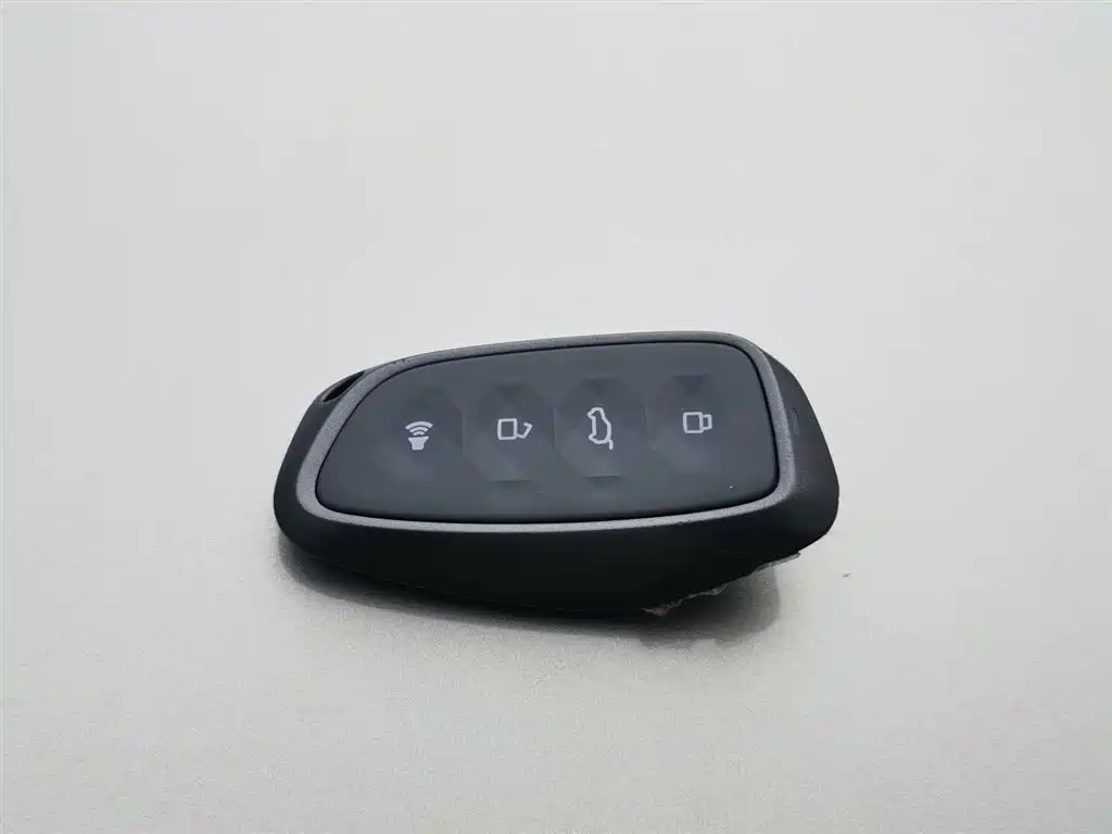 HAVAL SECOND GENERATION BIG DOG NEW ENERGY