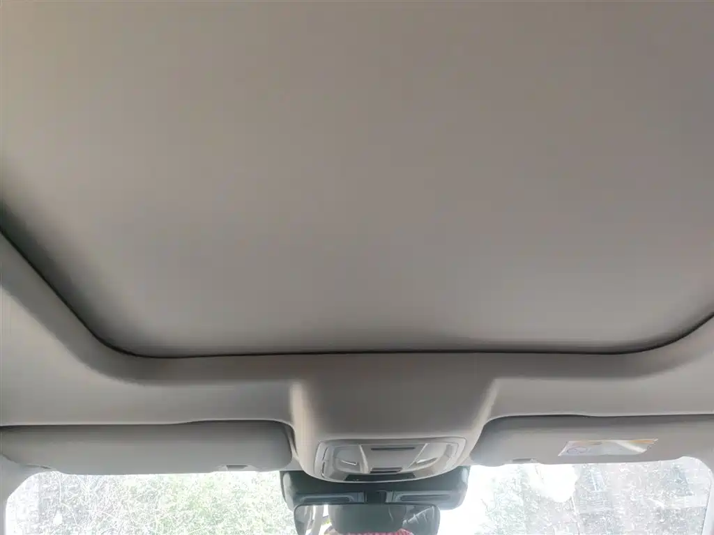 Haval Big Dog 2024 1.5T DCT Border Collie Edition фото 9