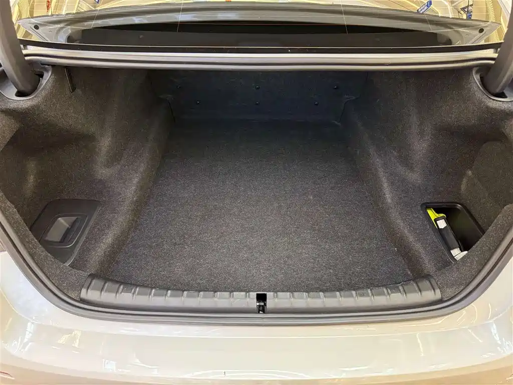 BMW 5 Series 2021 Facelift 530Li Leading Luxury Package фото 26