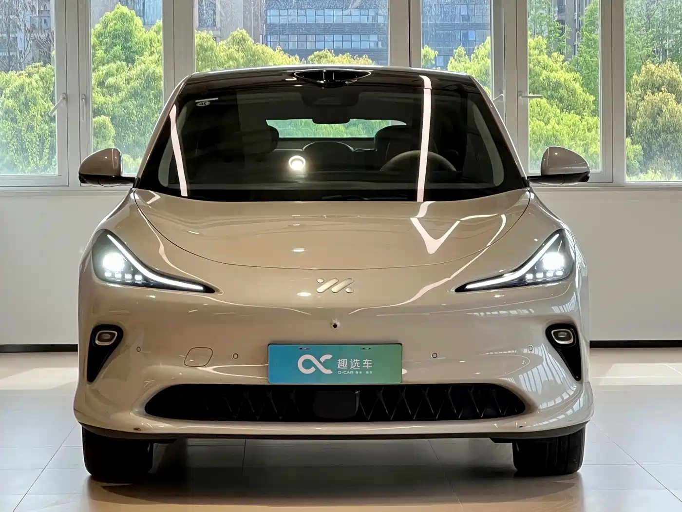 ZHIJI AUTOMOBILE ZHIJI LS6