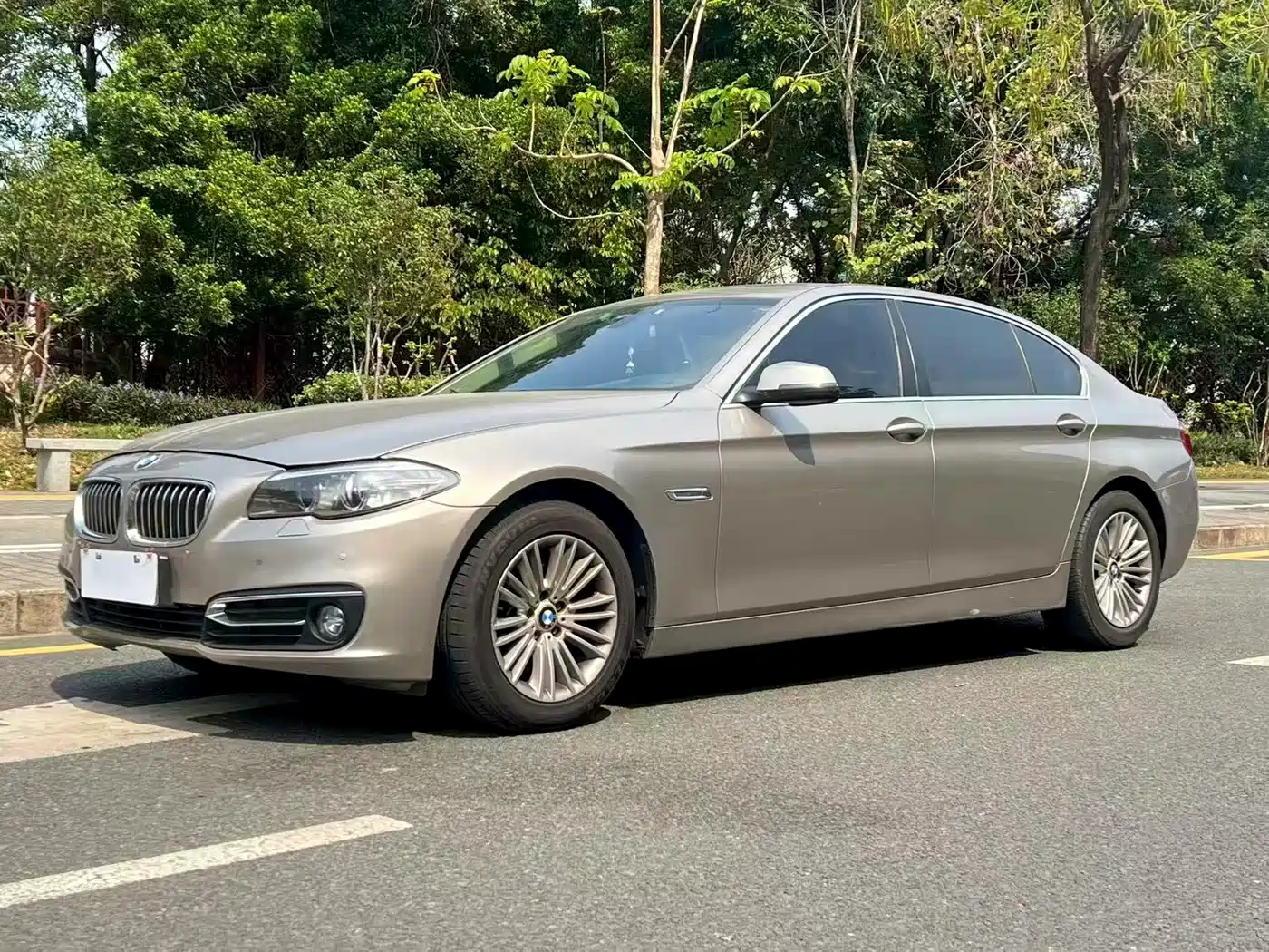 BMW 5 Series 2014 525Li Leading