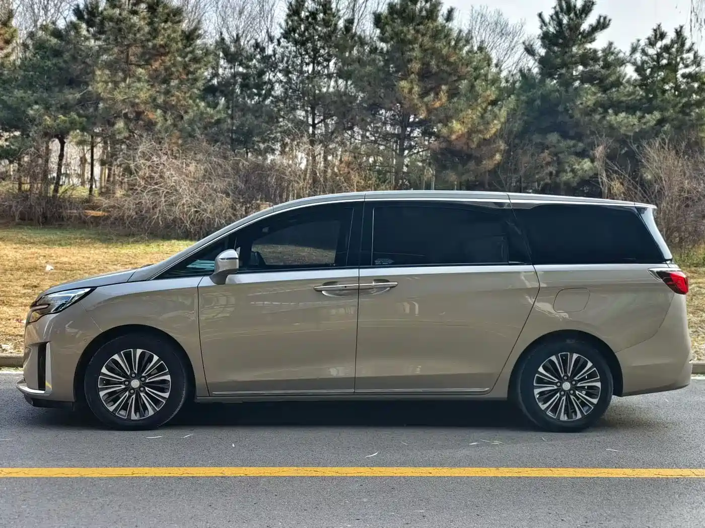 Buick GL8 2023 ES Landmaster 653T Smart Luxury Version фото 3