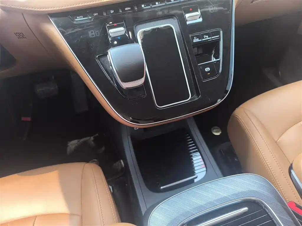 Hongqi HQ9 PHEV 2024 Model 2.0T AWD Business Edition фото 14