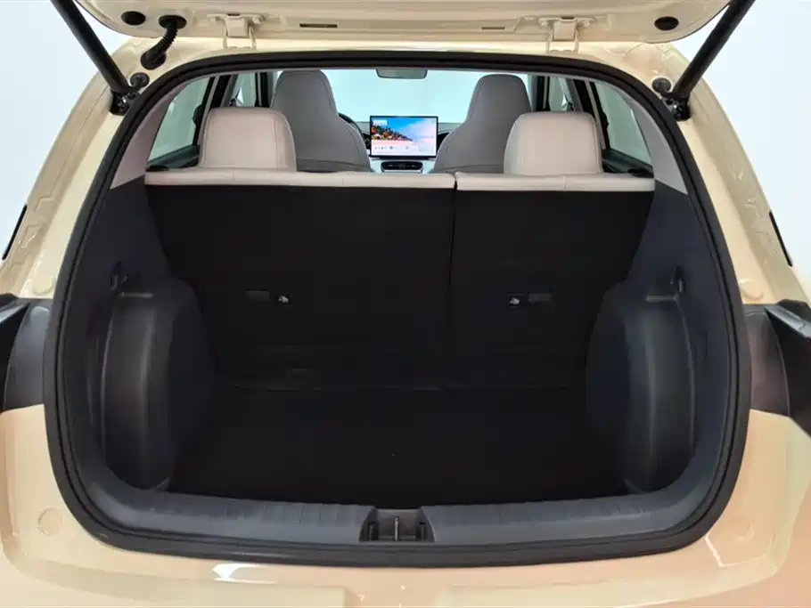 Geely Galaxy Starry Wish 2025 310km Dream Edition фото 4