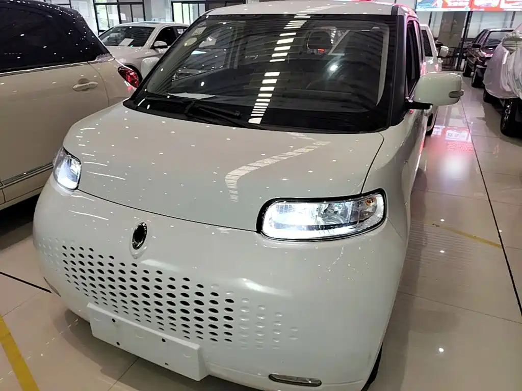 Ora White Cat 2021 2020 305km Luxury